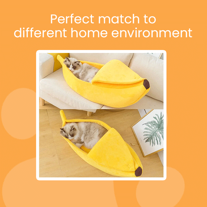 Banana Cat pet house